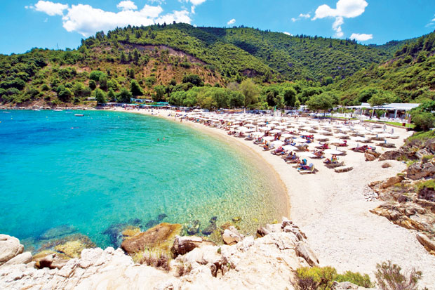 Код Фибуле чак у пола цене